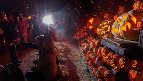 Save on Halloween Fun with a Promo Code for the Magical Jack O'Lantern Experience